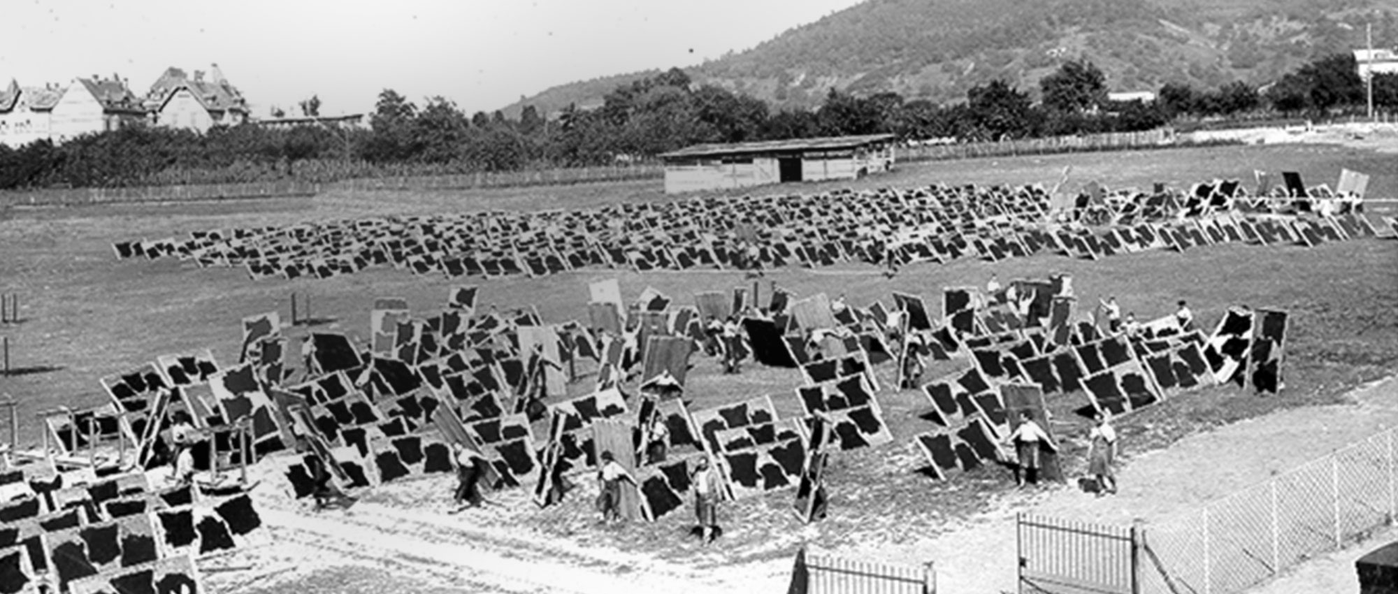 Historical picture of men and women stretching fabrics on wooden boards in a meadow
