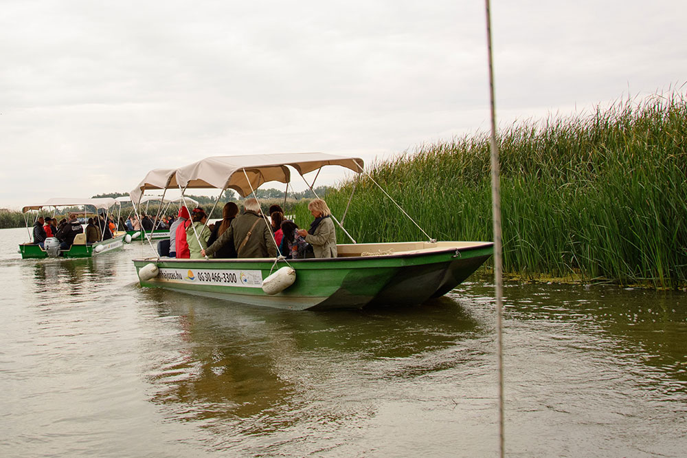Employees on a tour in a boat